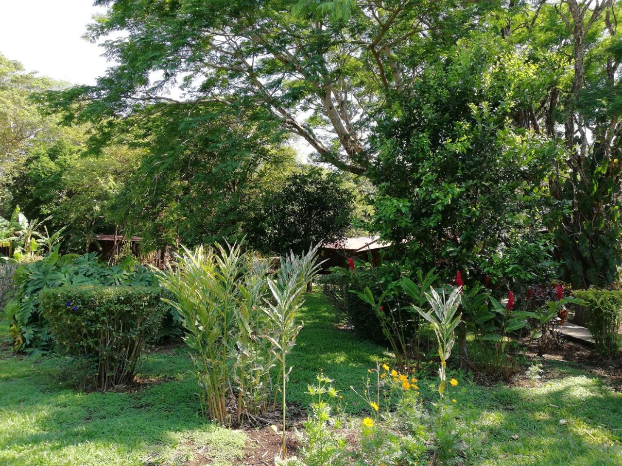 Hotel Rincon De La Vieja Lodge 리베리아 외부 사진