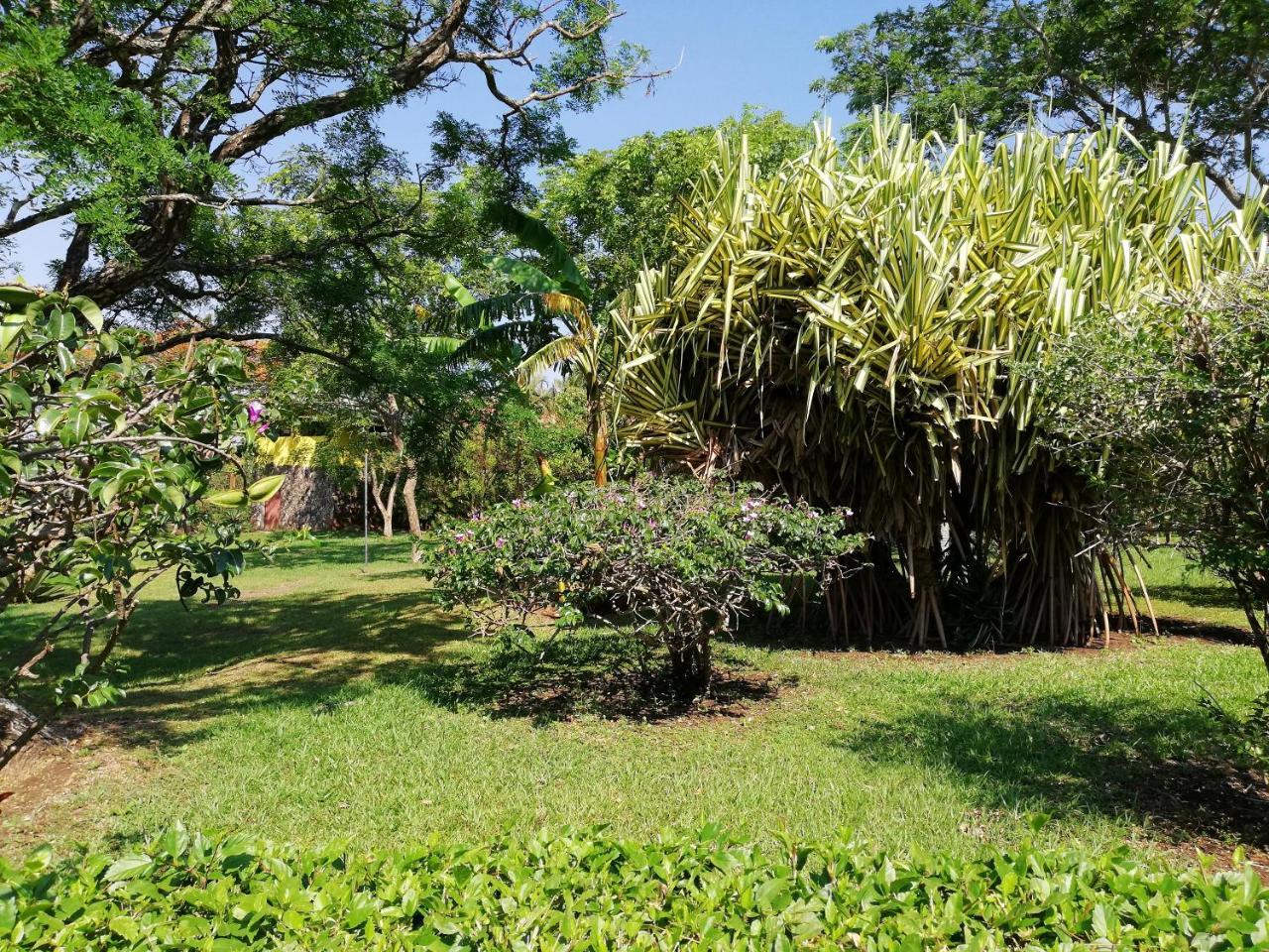 Hotel Rincon De La Vieja Lodge 리베리아 외부 사진