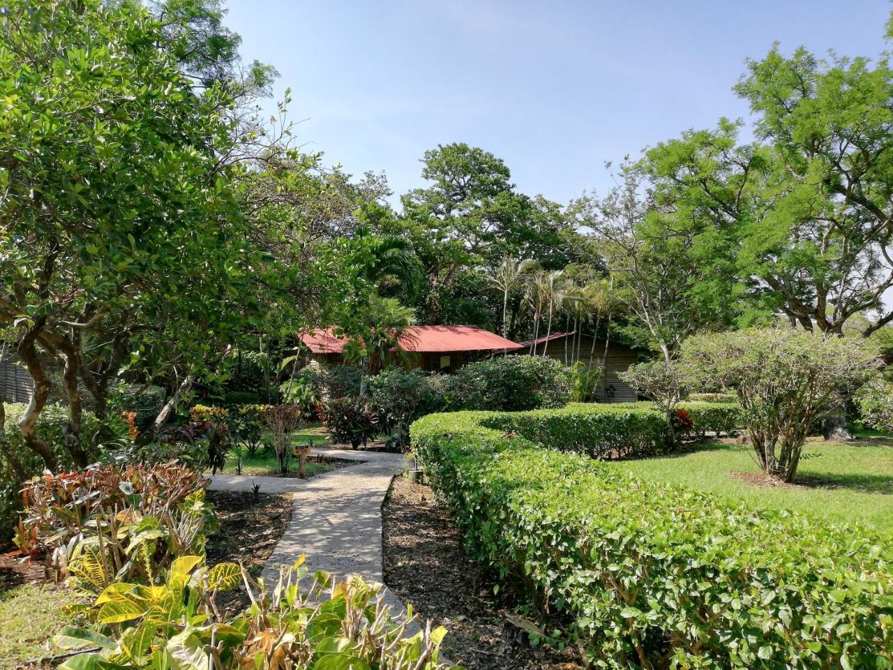 Hotel Rincon De La Vieja Lodge 리베리아 외부 사진